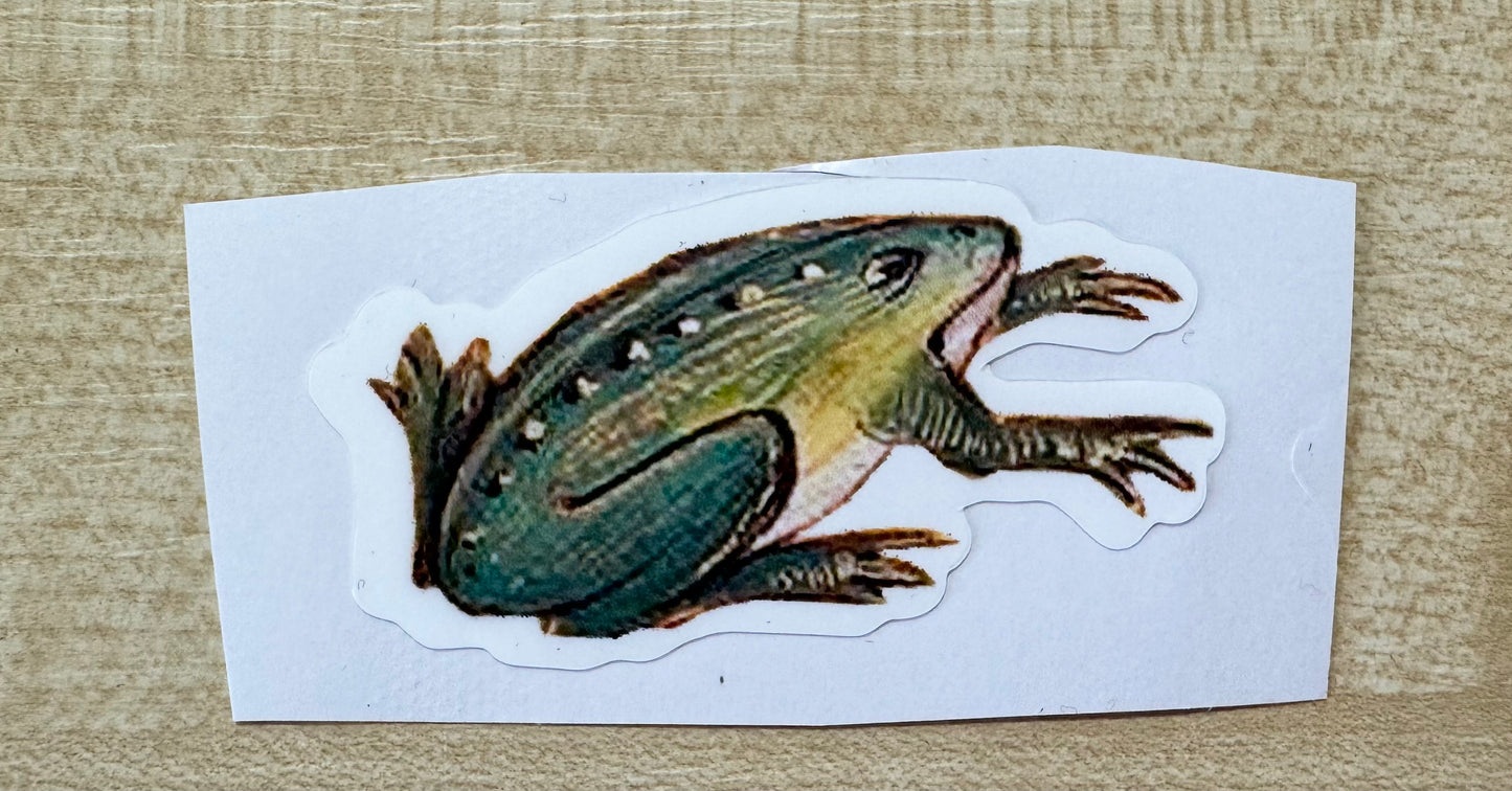 Medieval Frog Stickers - choose from 4 designs