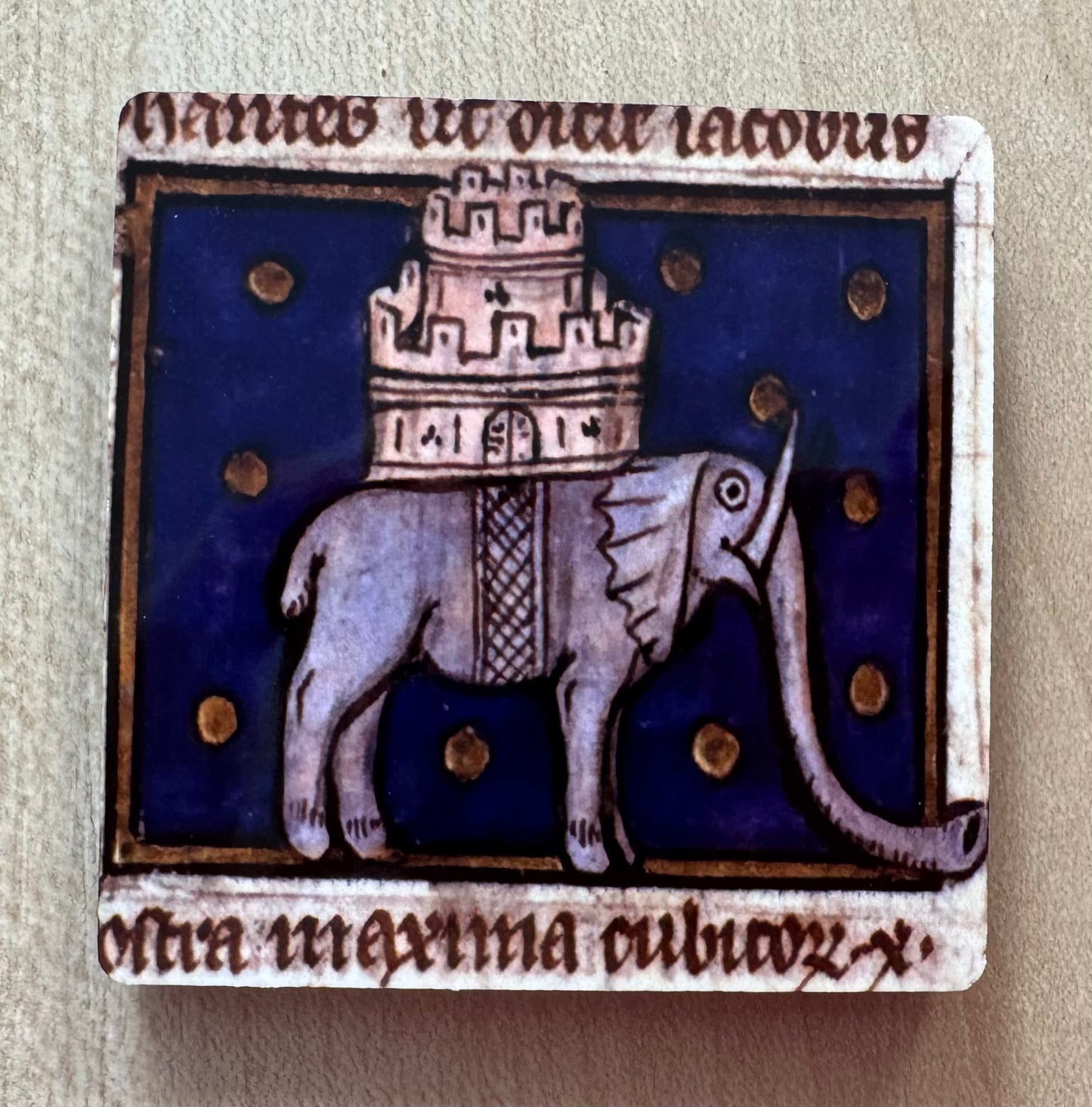 Medieval Elephant magnets