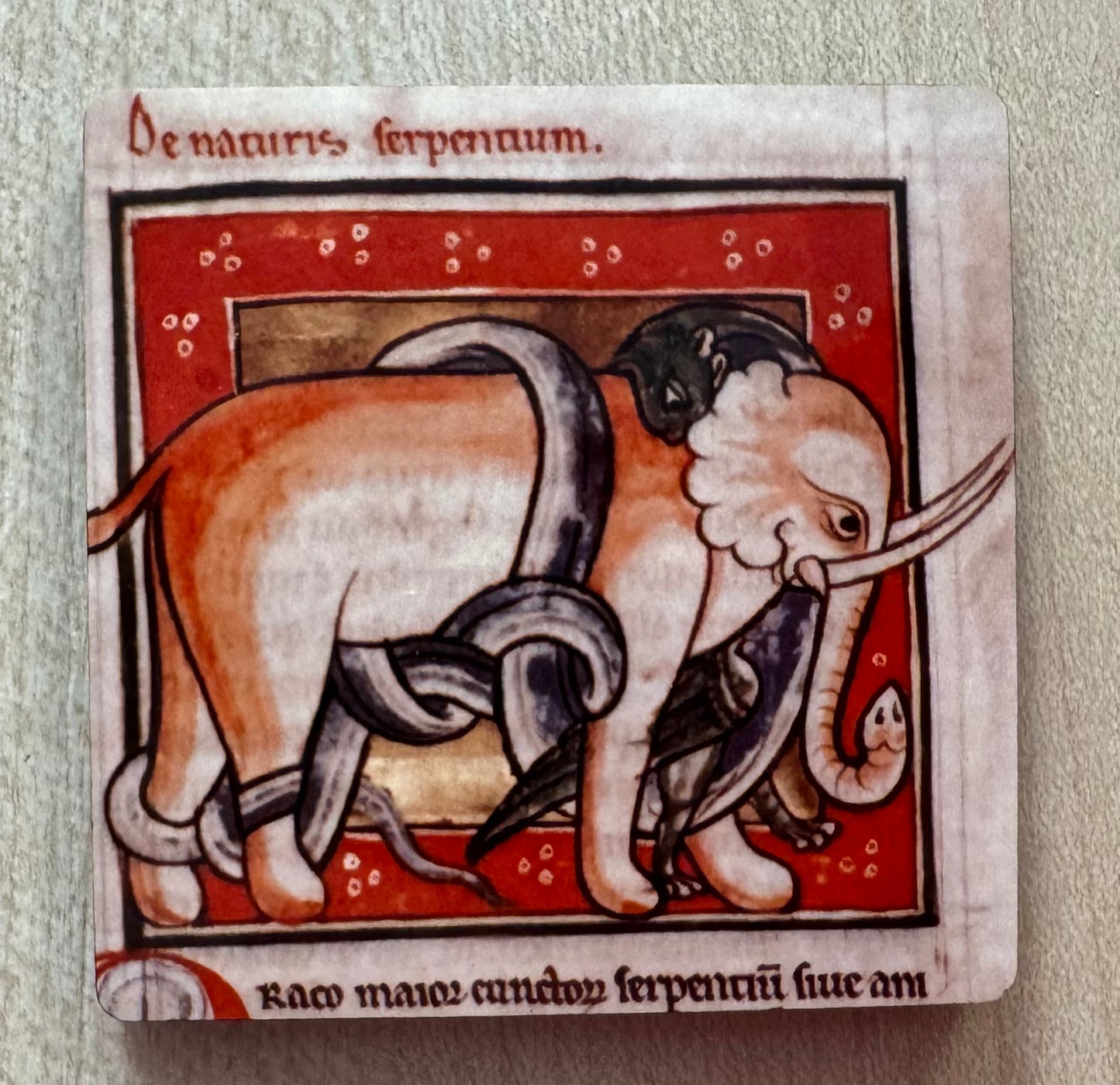 Medieval Elephant magnets