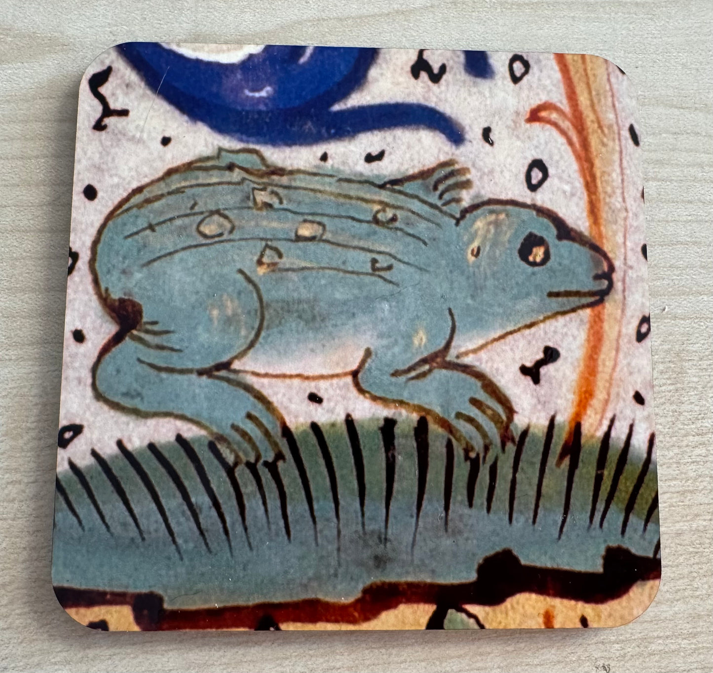 Medieval Frog magnets