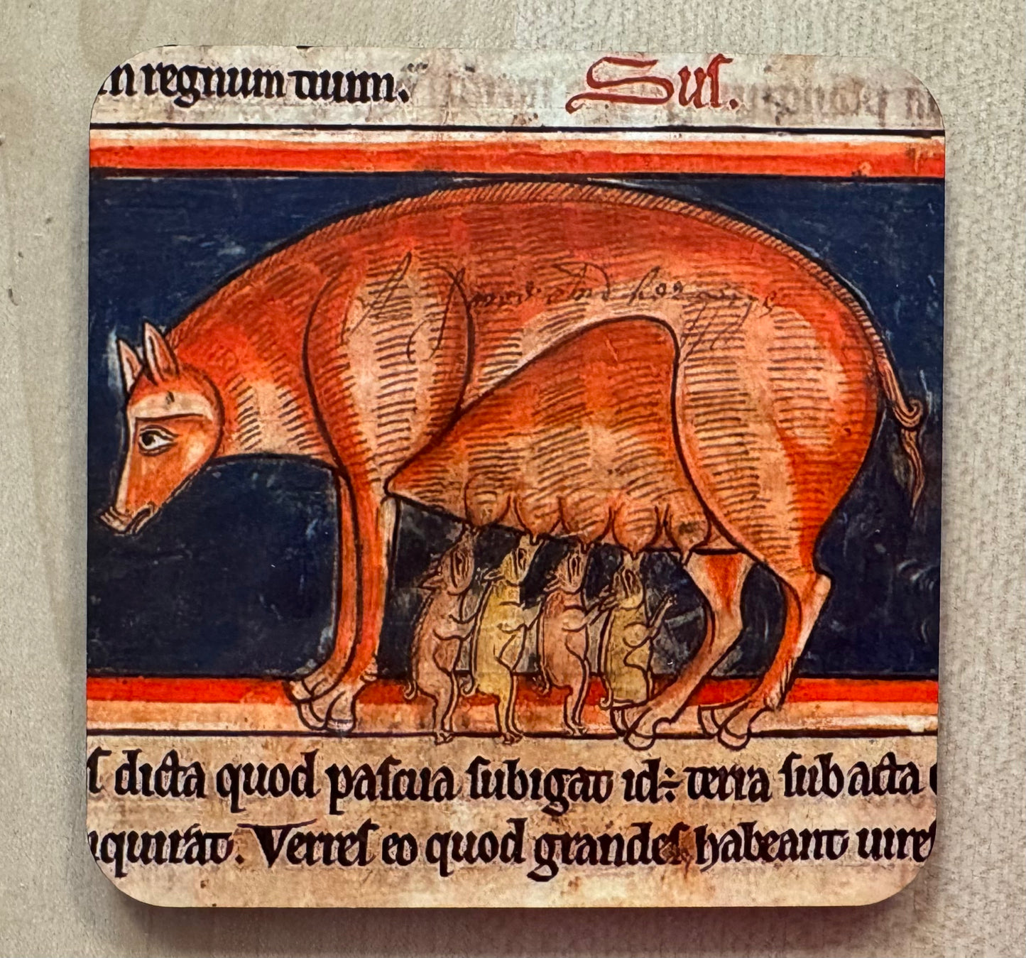 Medieval Wild Boar coasters - set of 4