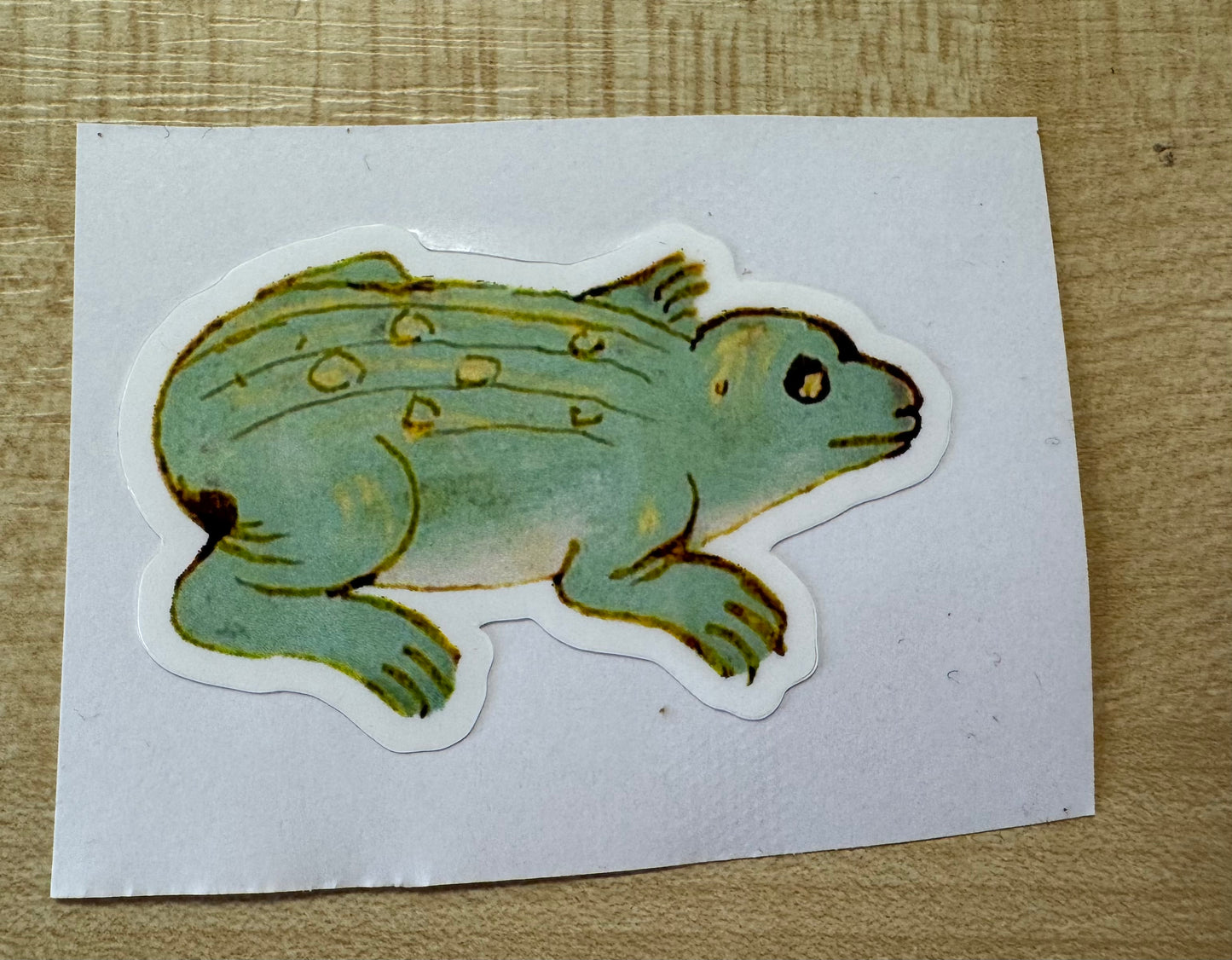 Medieval Frog Stickers - choose from 4 designs