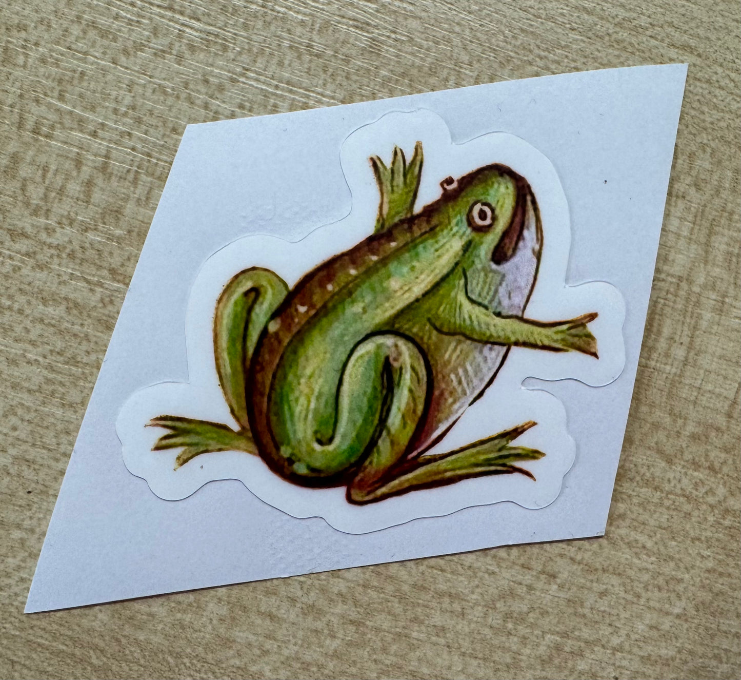 Medieval Frog Stickers - choose from 4 designs