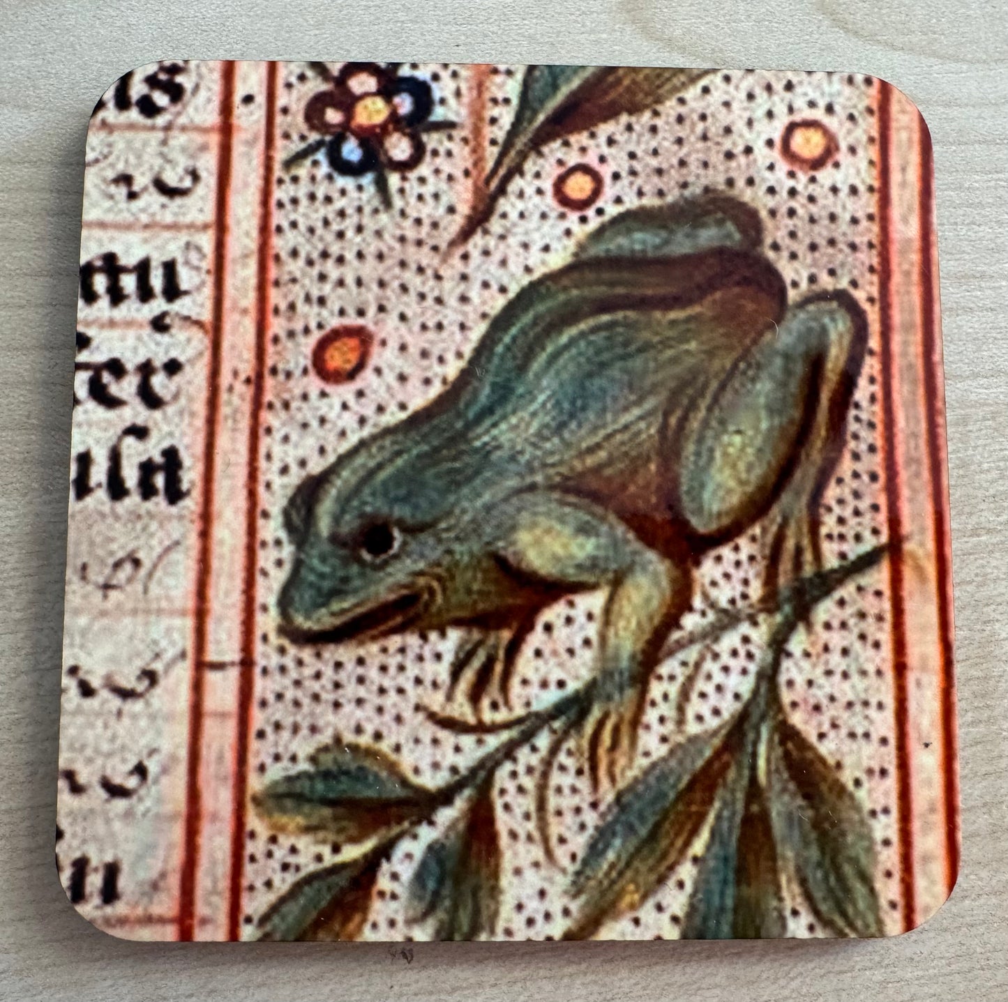 Medieval Frog magnets