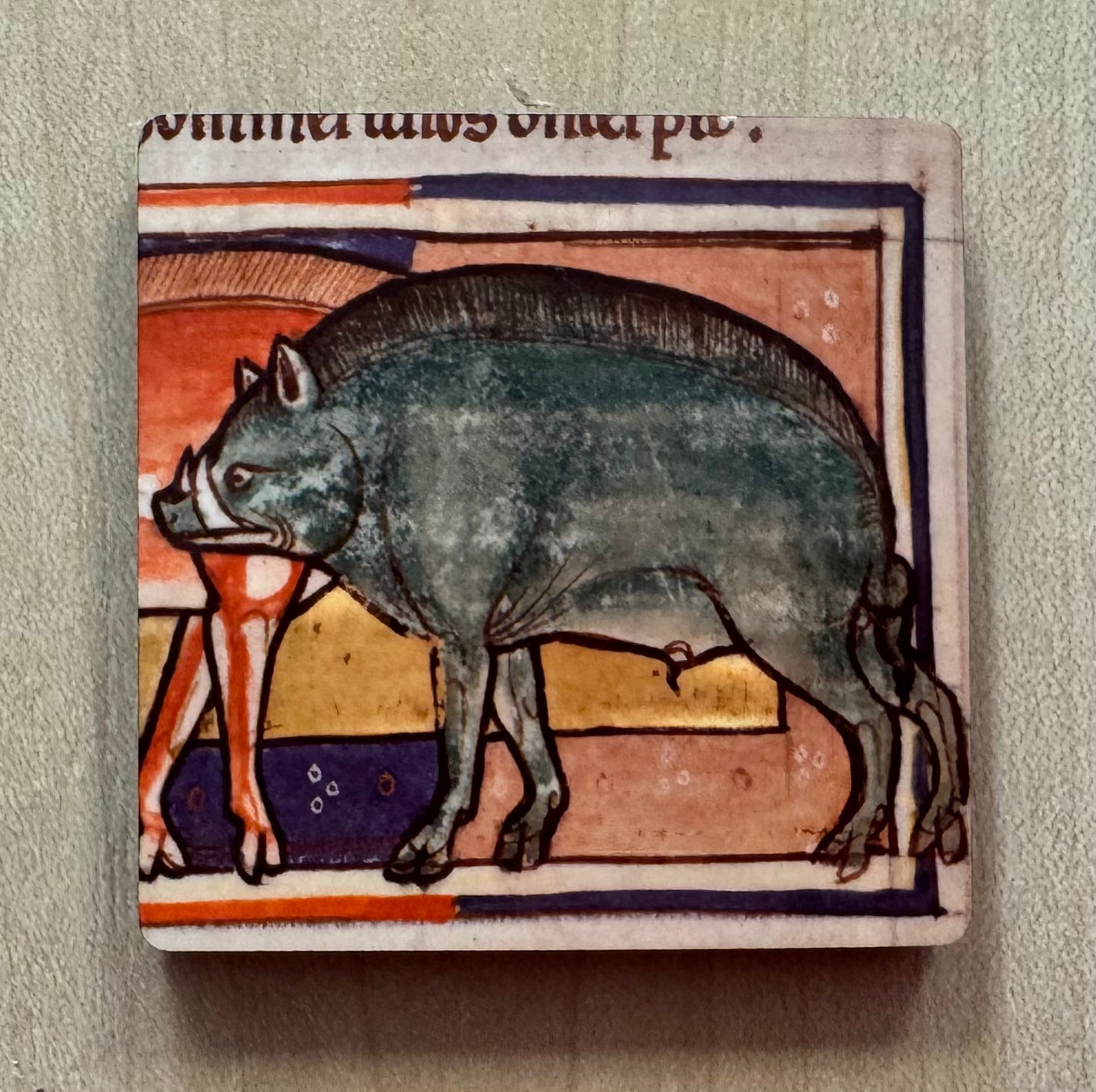 Medieval Wild Boar magnets