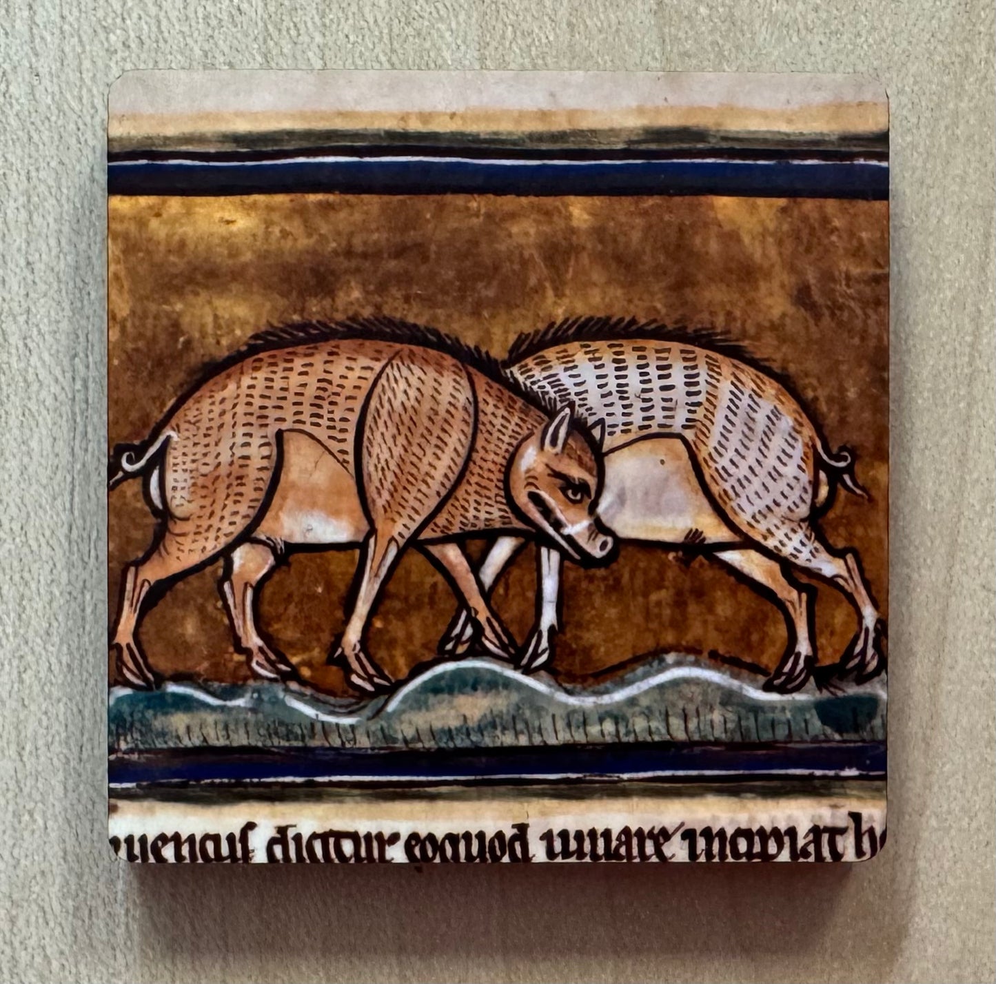 Medieval Wild Boar magnets
