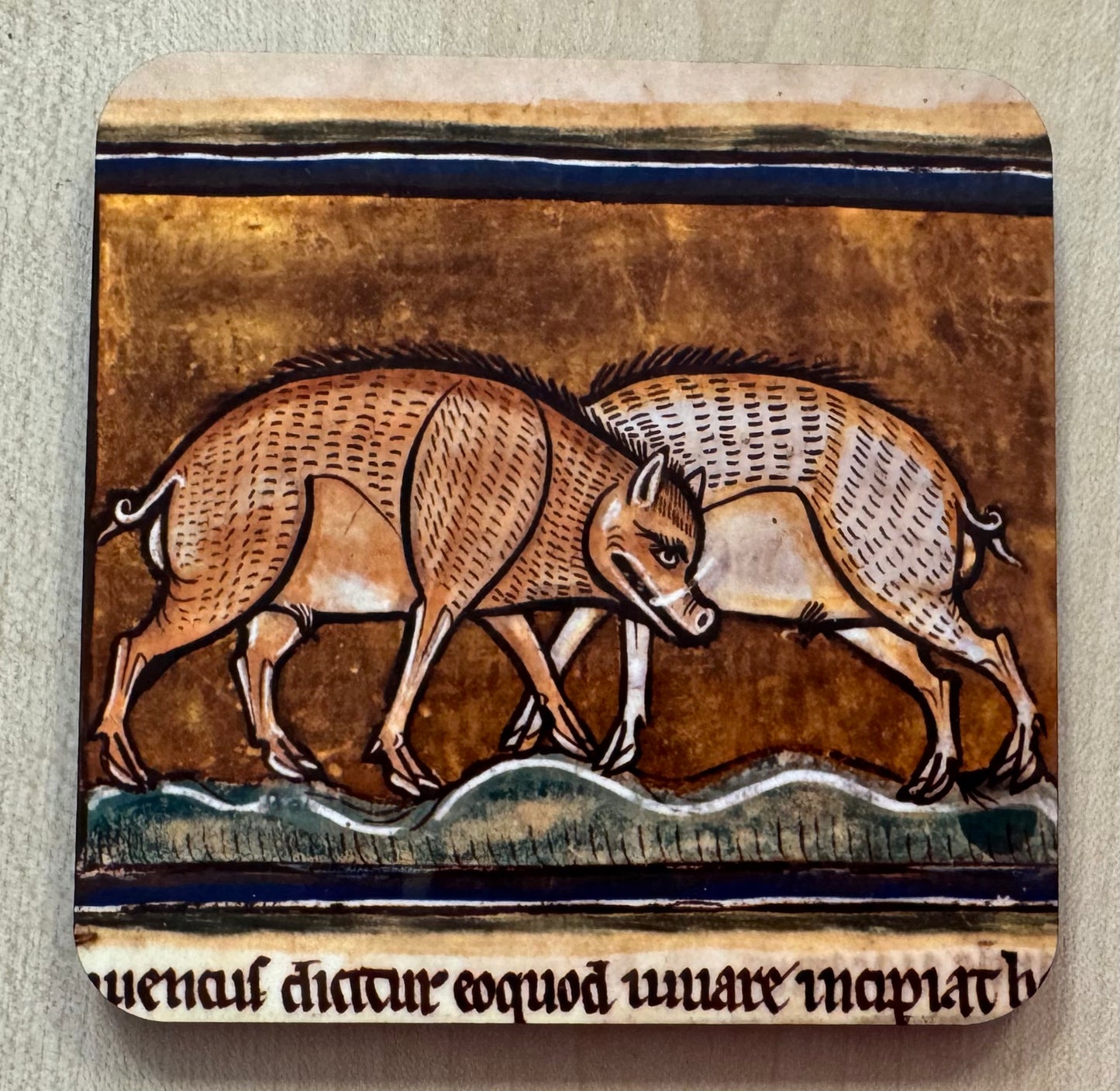 Medieval Wild Boar coasters - set of 4
