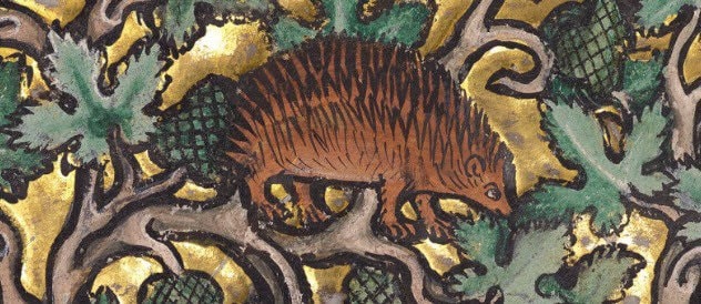 Medieval Hedgehog Mug