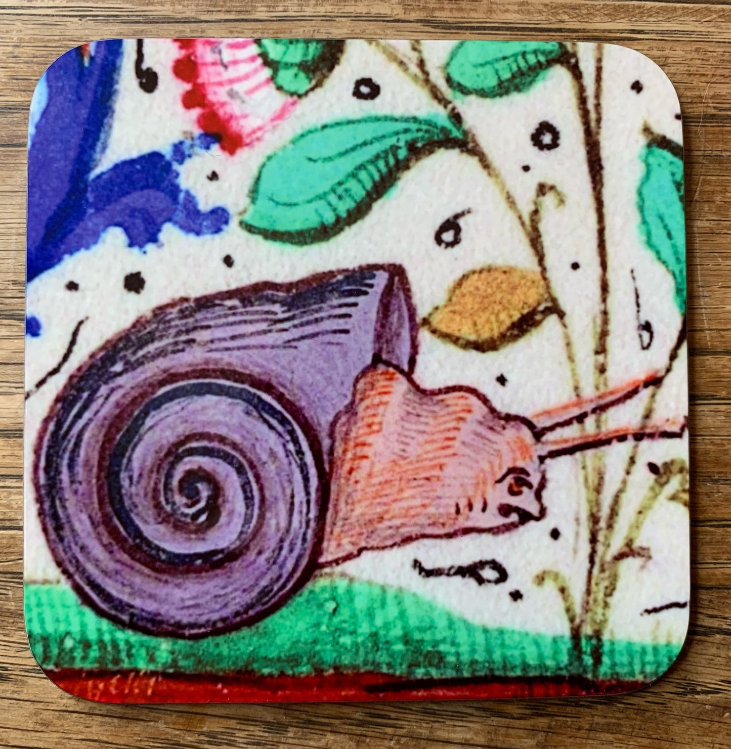 Medieval Angry Snail vs Terrified Toad coasters - set of 4