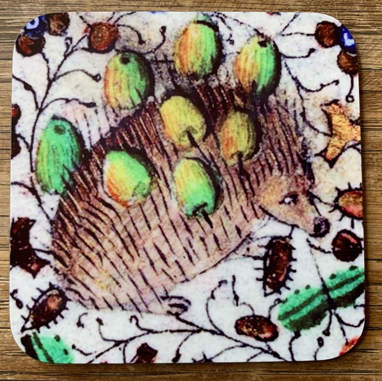 Medieval Hedgehog coasters - set of 4