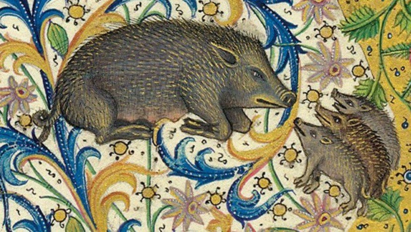 Medieval Wild Boar Mug