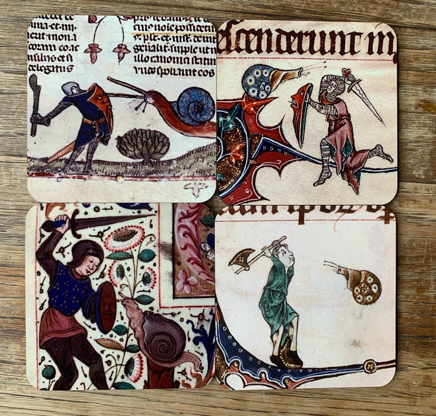 Medieval Knight vs Snail coasters - set of 4