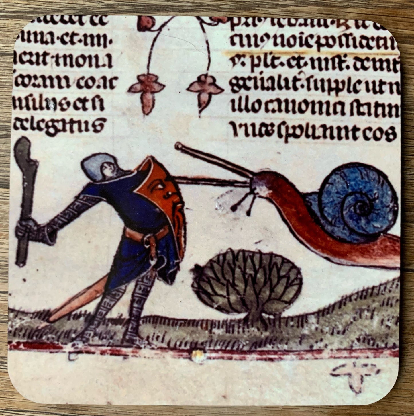 Medieval Knight vs Snail coasters - set of 4