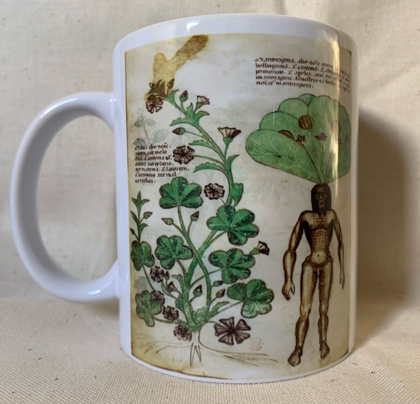 Mandrake mug - colour