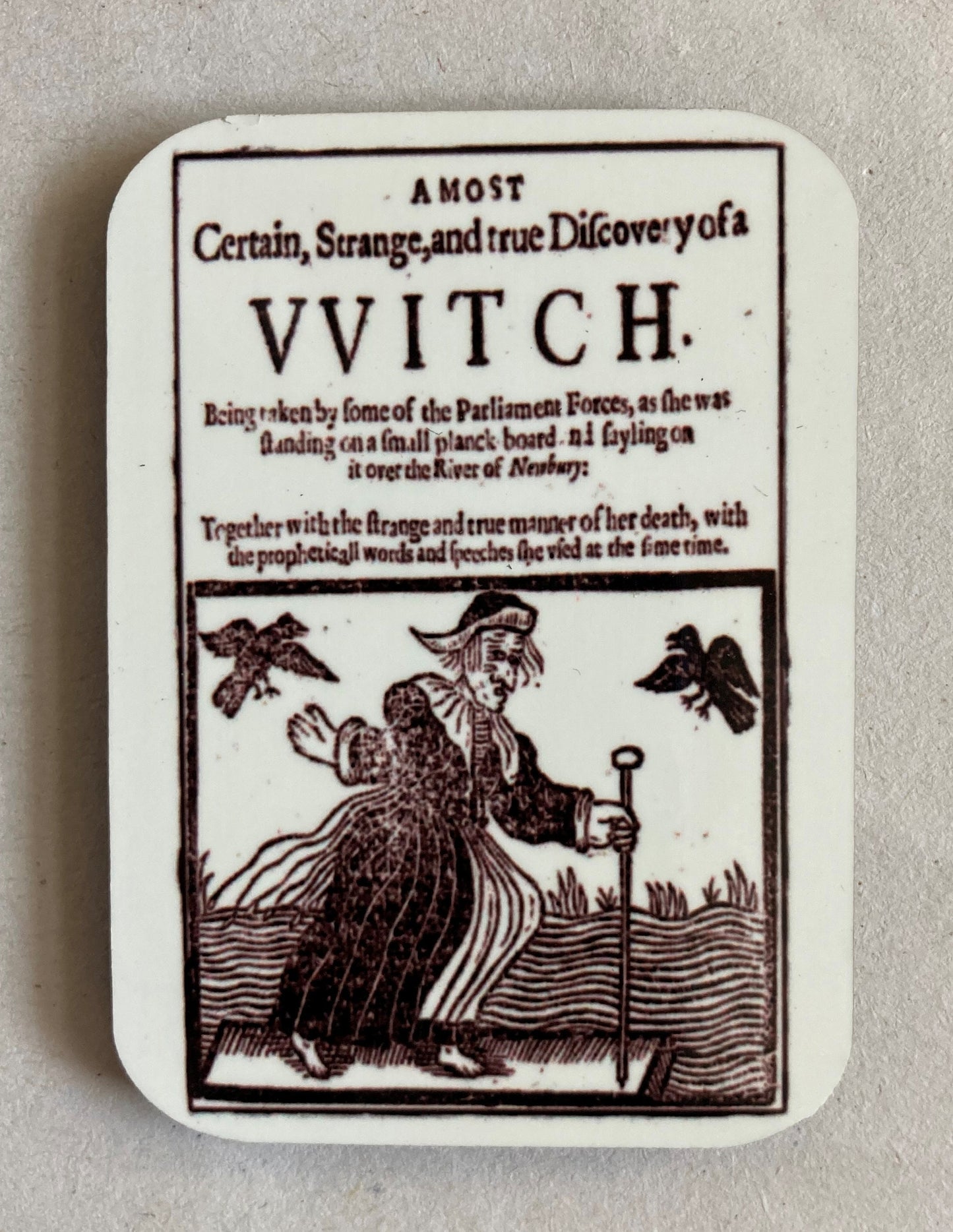 Witch Trial Fridge Magnets
