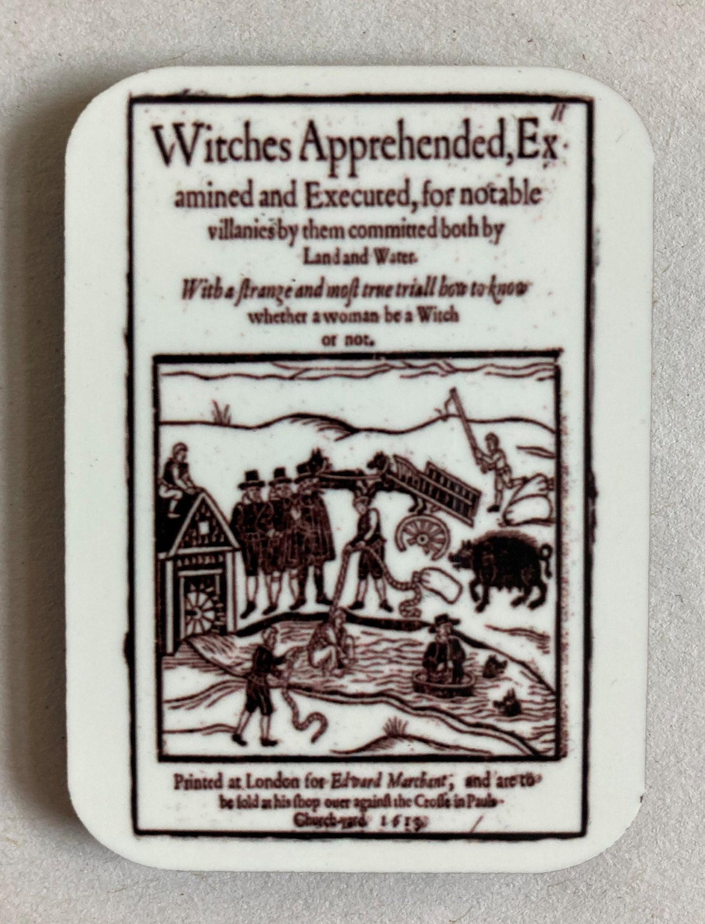 Witch Trial Fridge Magnets