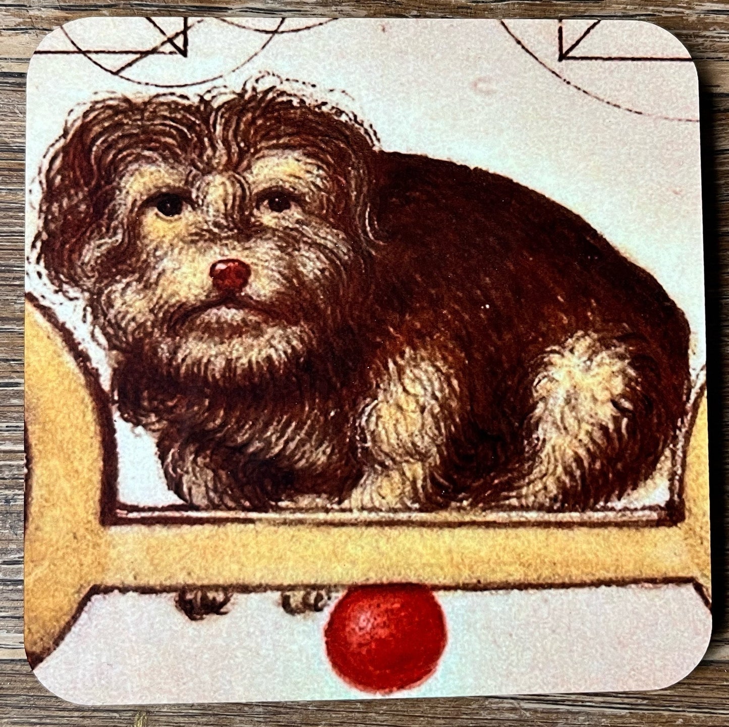 Medieval dog coasters - set of 4