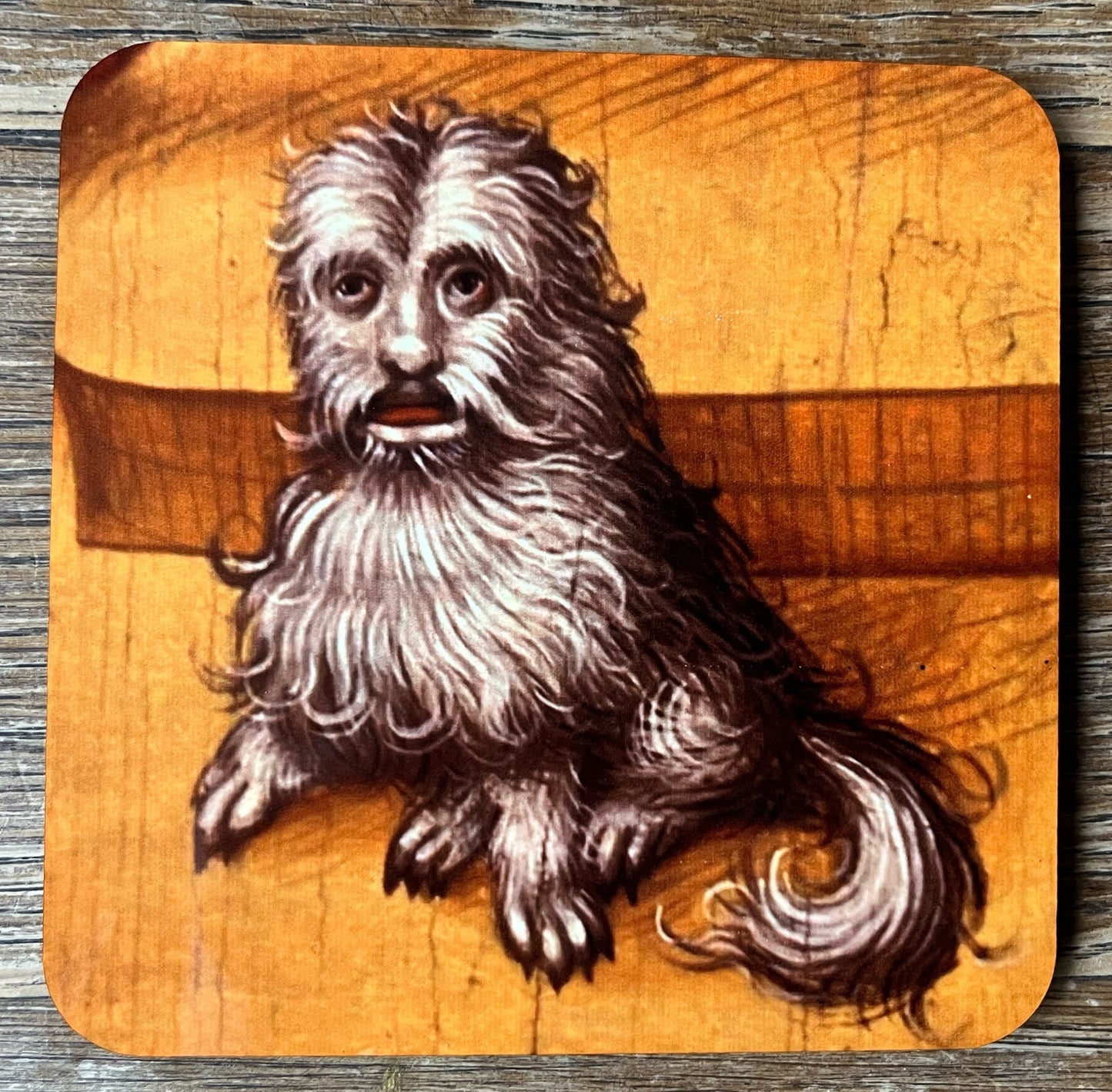 Medieval dog coasters - set of 4