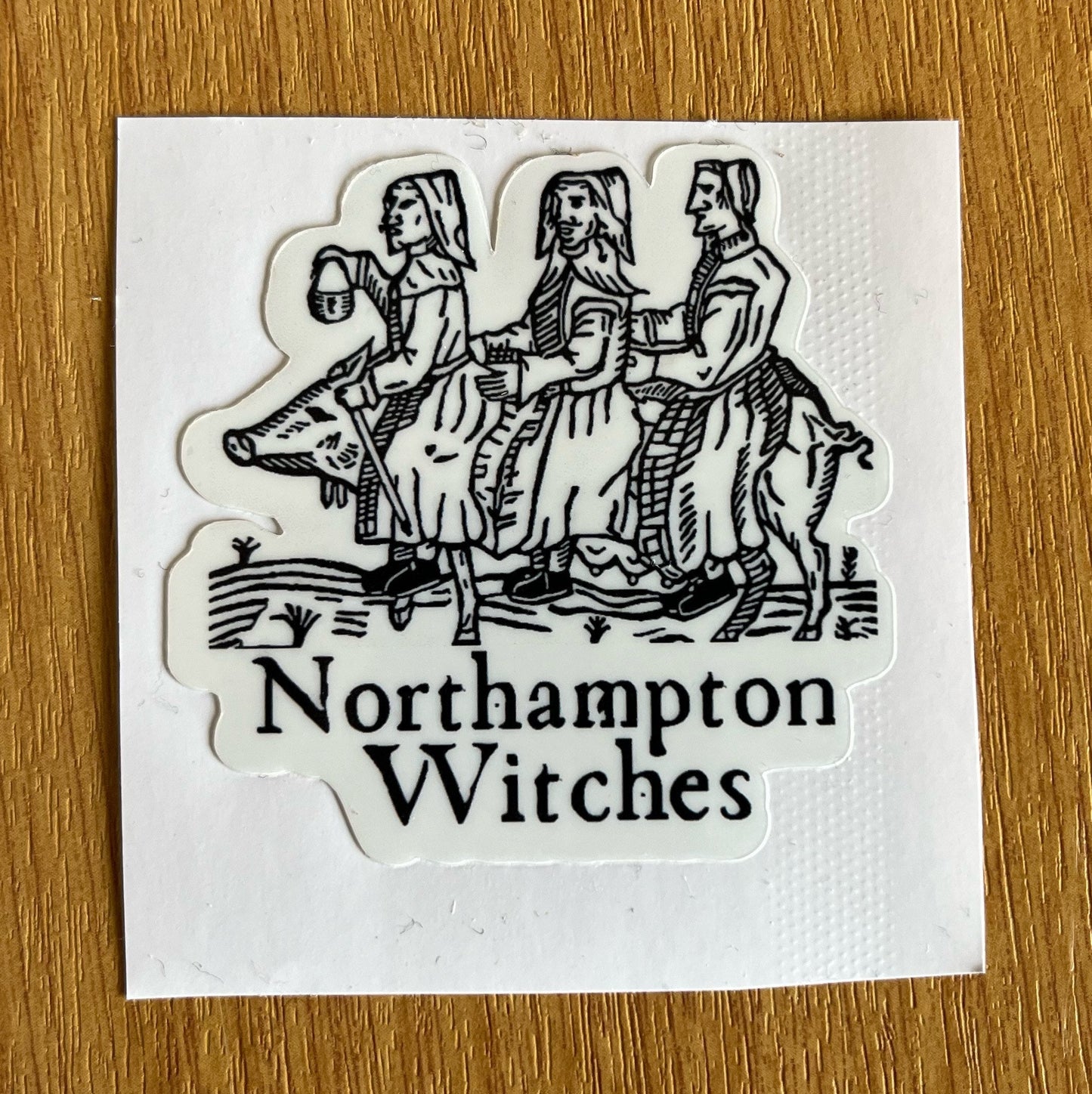 Witch Trial Stickers - choose from 4 designs