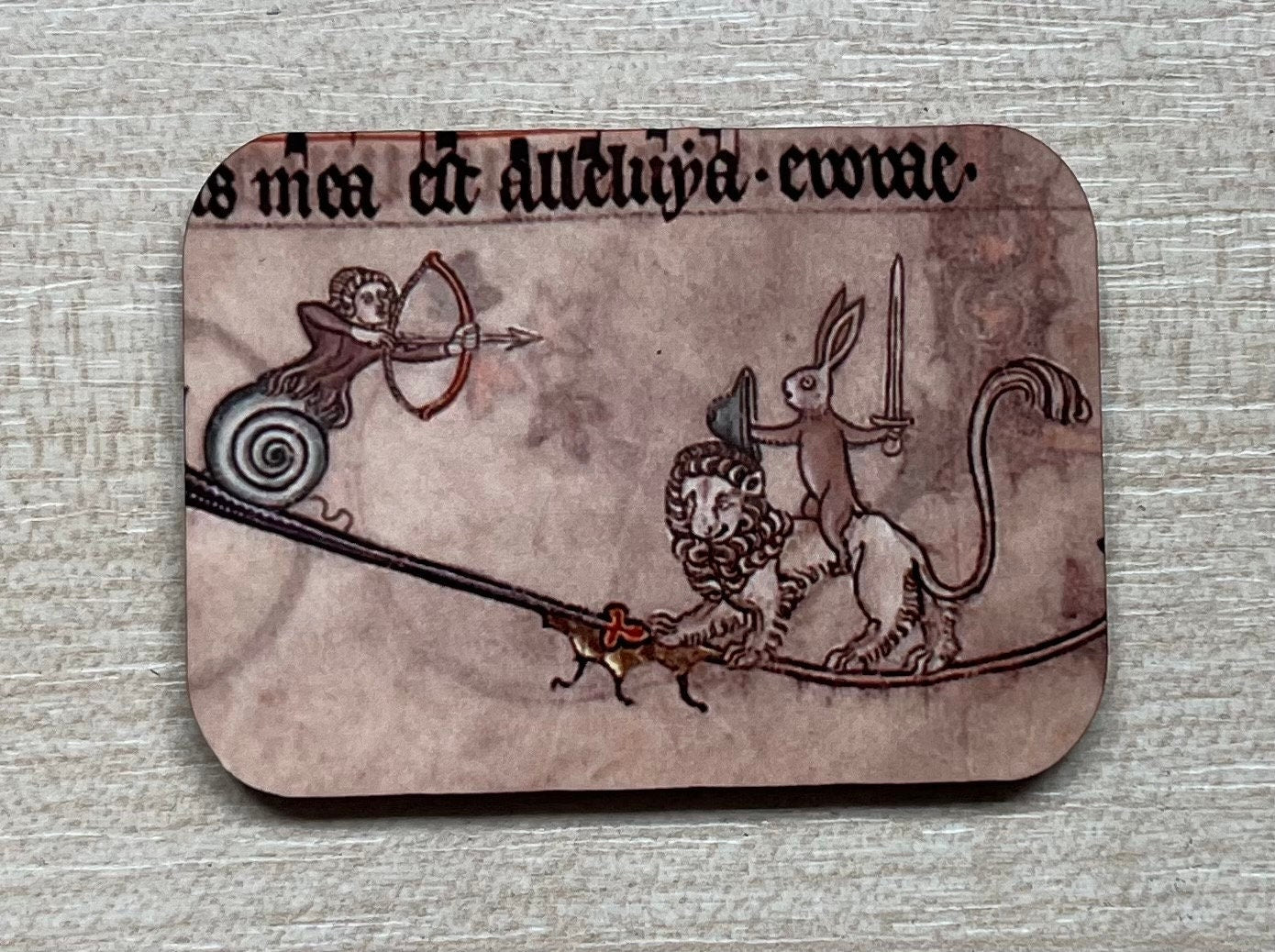 Battle Bunny Fridge Magnets