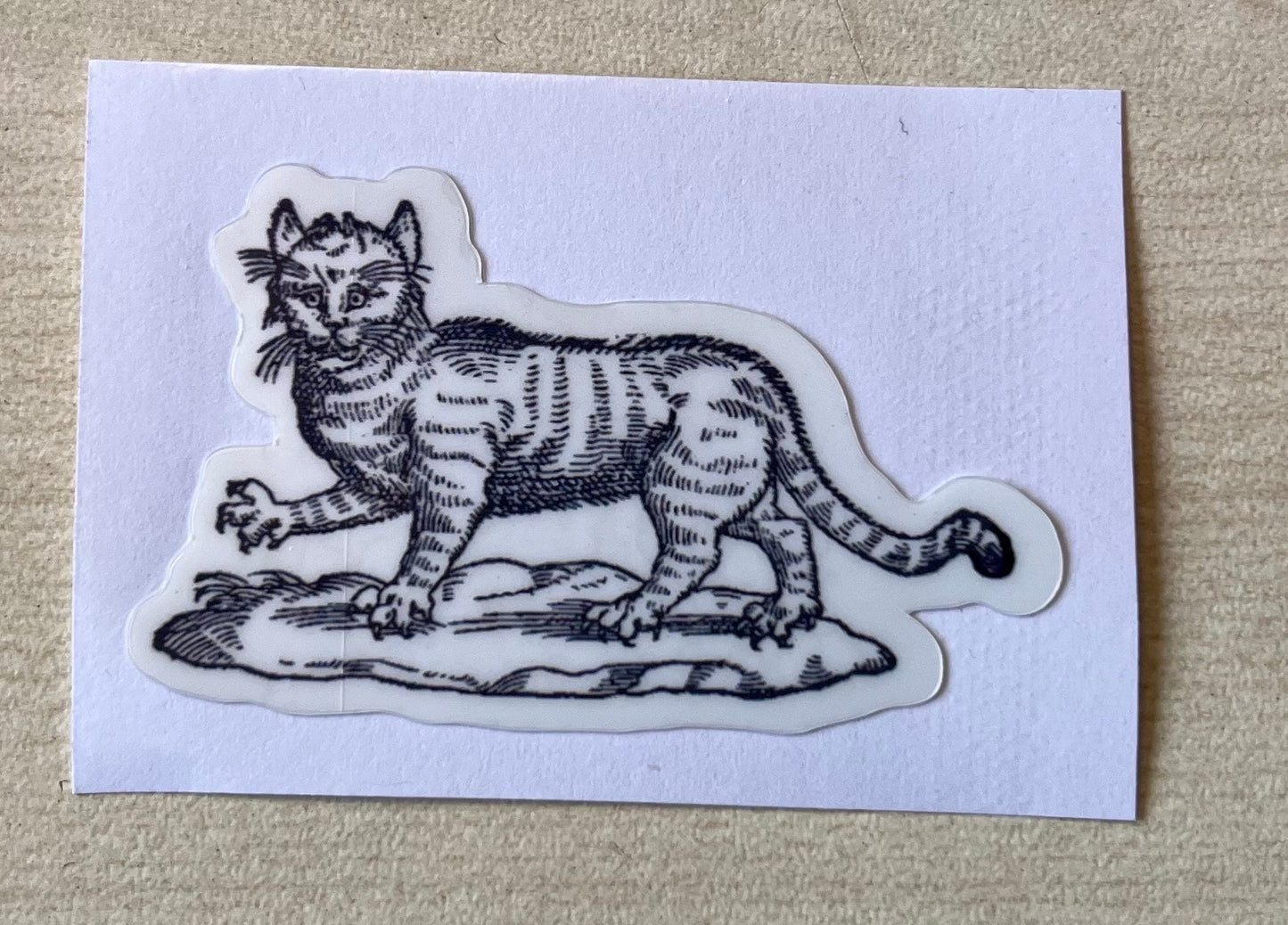 Cat Familiar Sticker