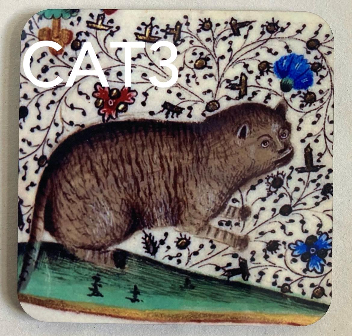 Cat Coasters - Choose from 8 designs