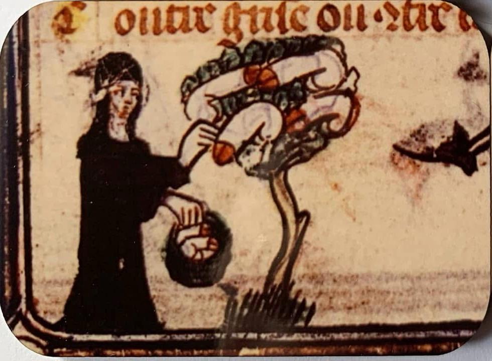NSFW Medieval Fridge Magnets