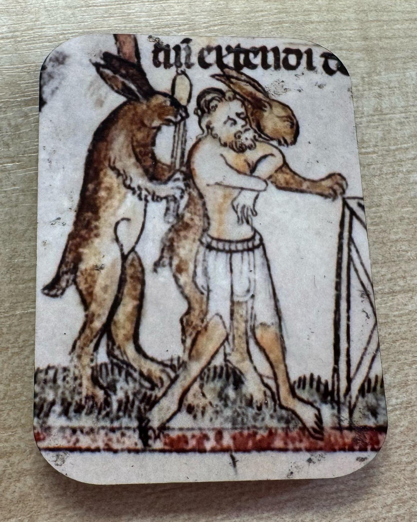 Medieval Murder Rabbit Fridge Magnets
