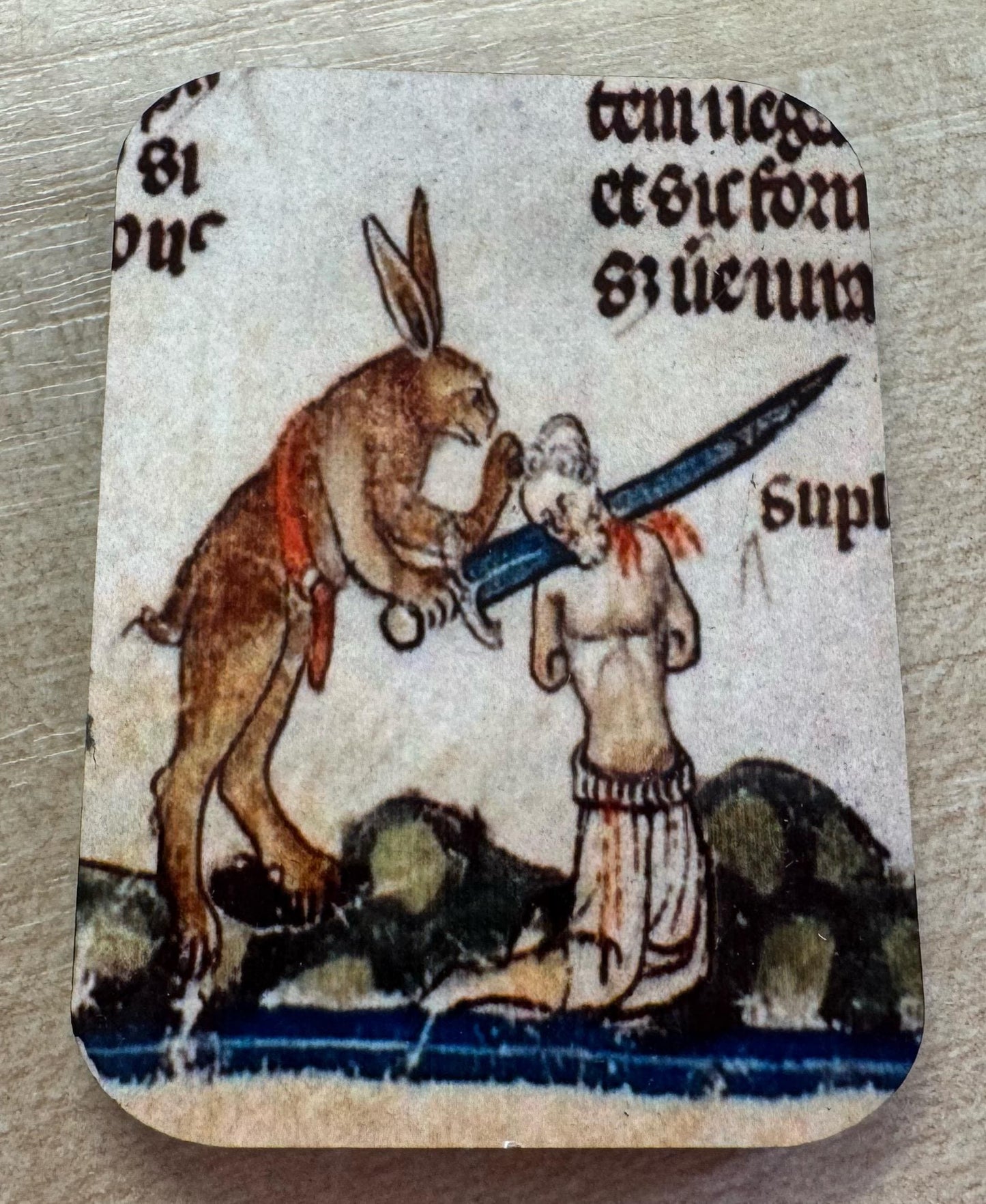 Medieval Murder Rabbit Fridge Magnets