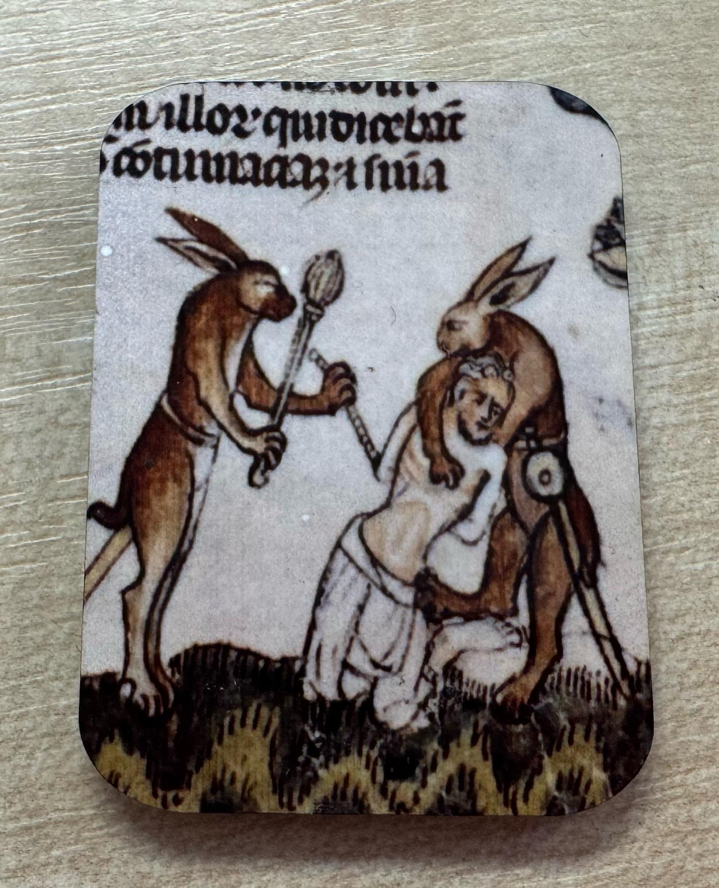 Medieval Murder Rabbit Fridge Magnets