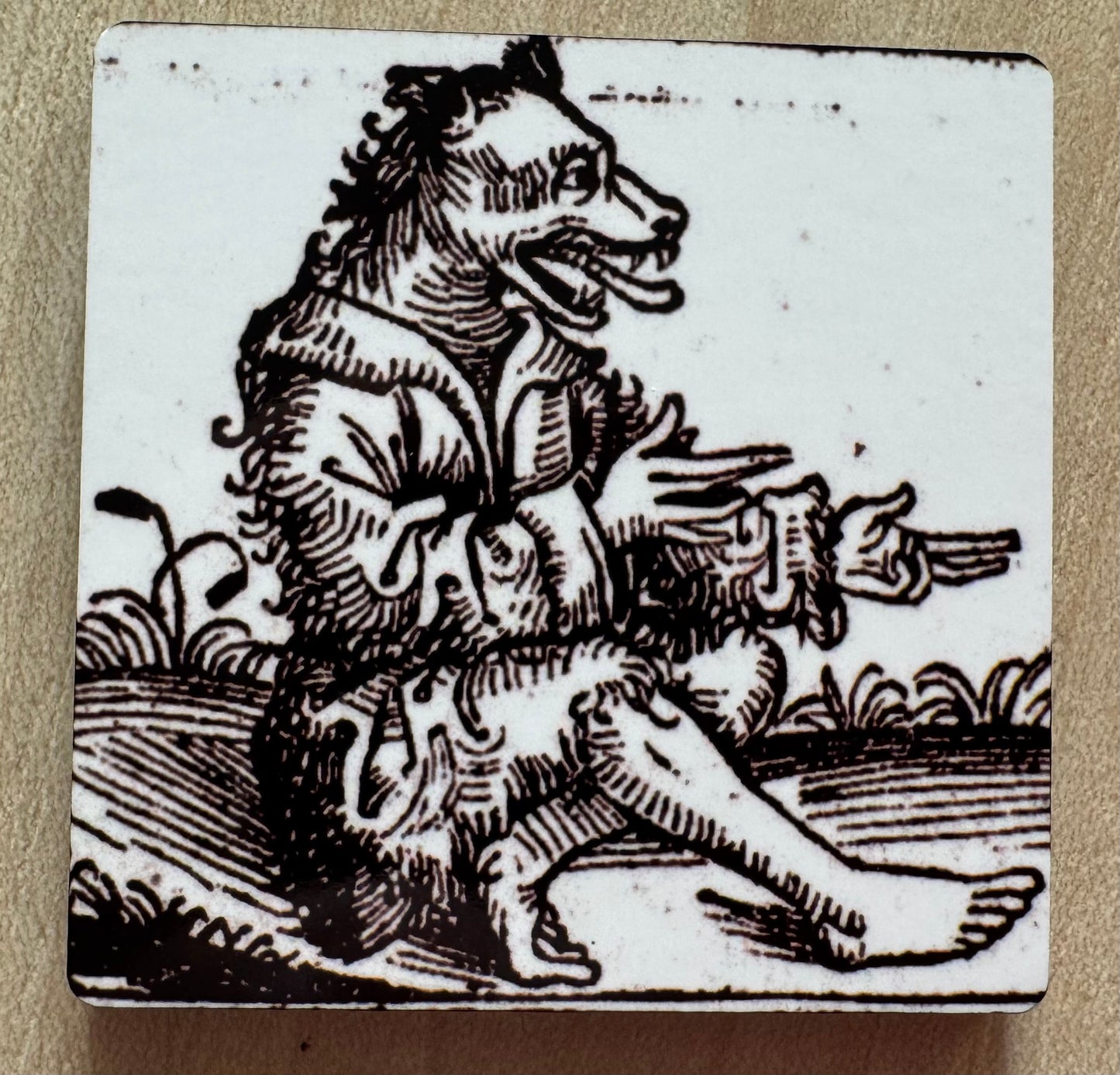 Werewolf (15th-18th century) magnets