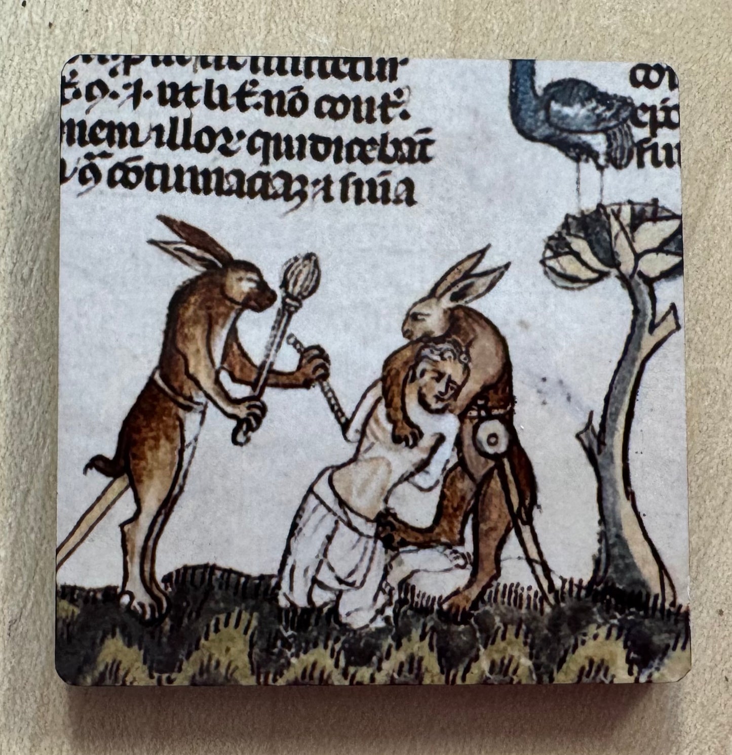 Medieval murder rabbit magnets