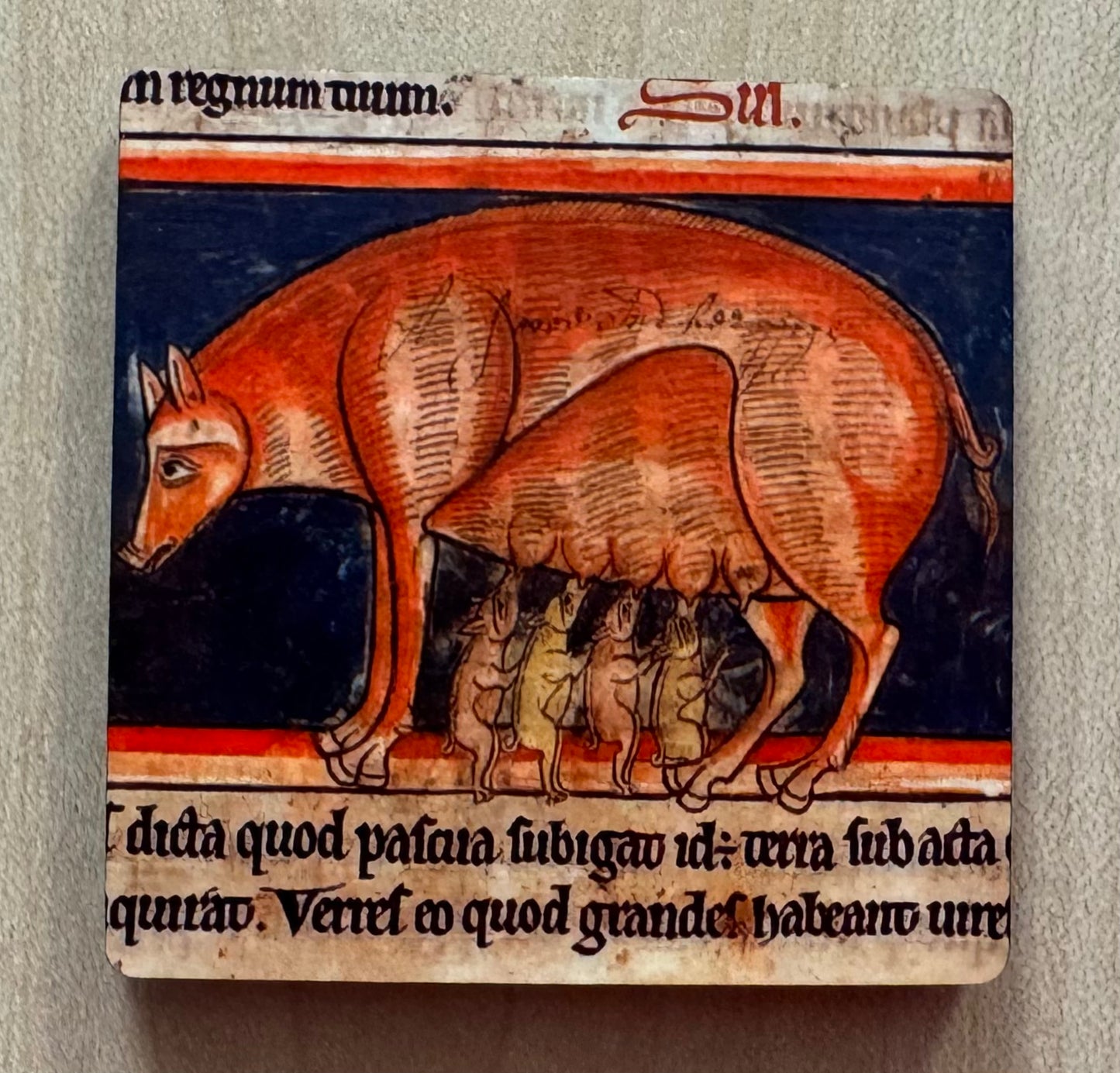 Medieval Wild Boar magnets