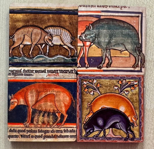 Medieval Wild Boar magnets