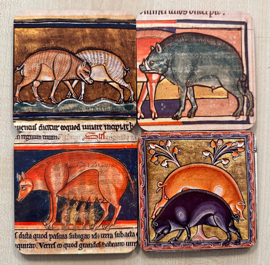 Medieval Wild Boar coasters - set of 4