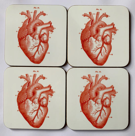 Anatomical Heart coasters - set of 4