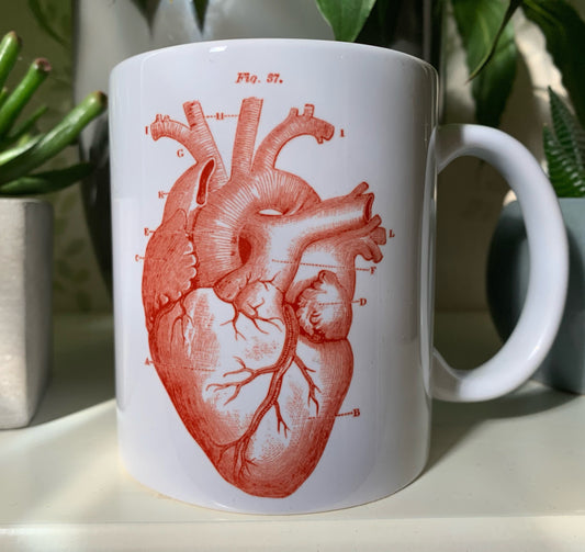 Anatomical Heart Mug