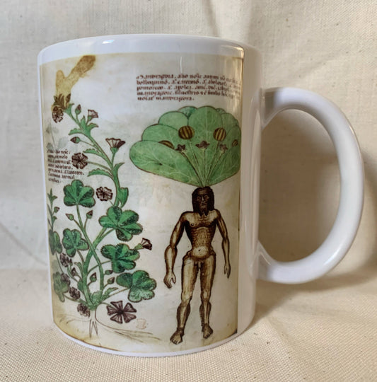 Mandrake mug - colour