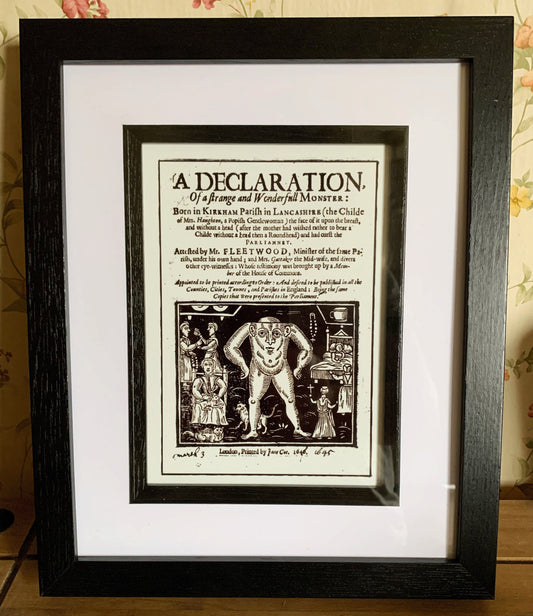 A Strange and Wonderful Monster Framed Print