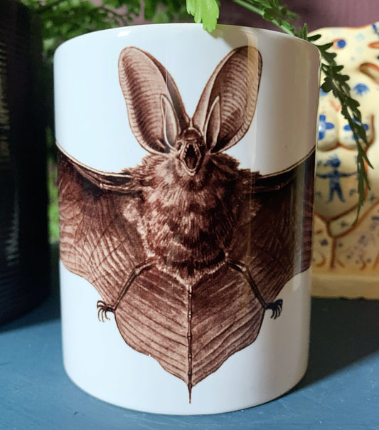 Long Eared Bat Mug