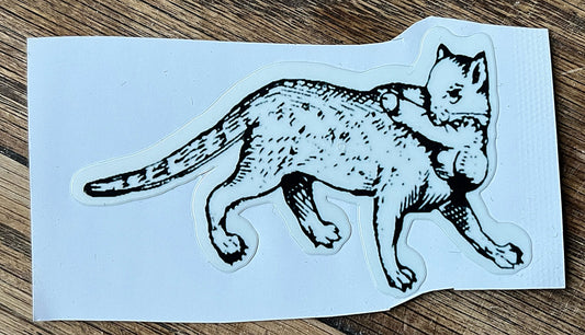 Penis stealing cat