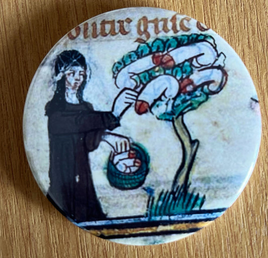 Penis Harvesting Nun Badge - 32mm