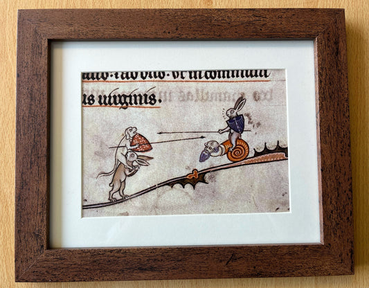 Duelling Rabbits Framed Print - Choose from 2 frame styles