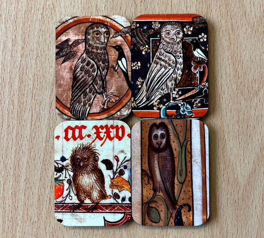 Medieval Owl Fridge Magnets
