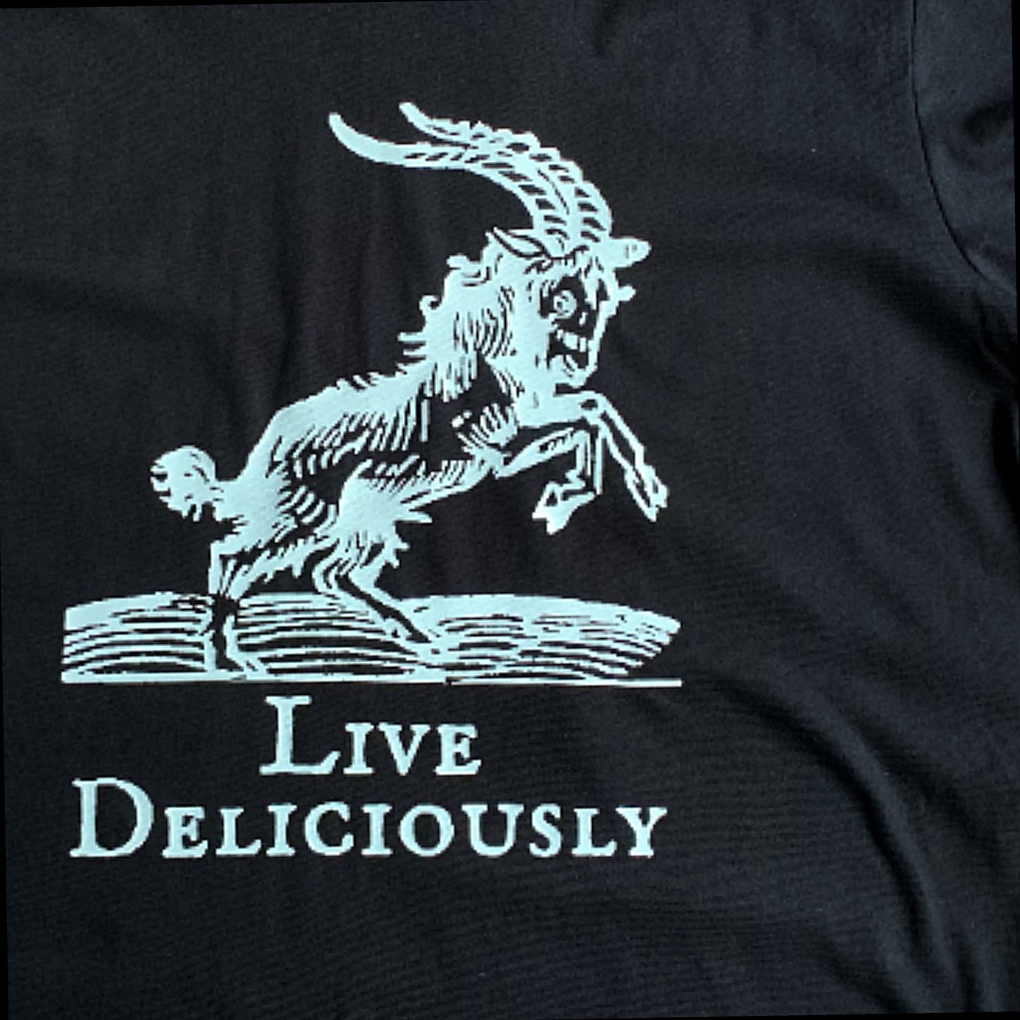 Hoodie Non Zip Pullover With Front Image