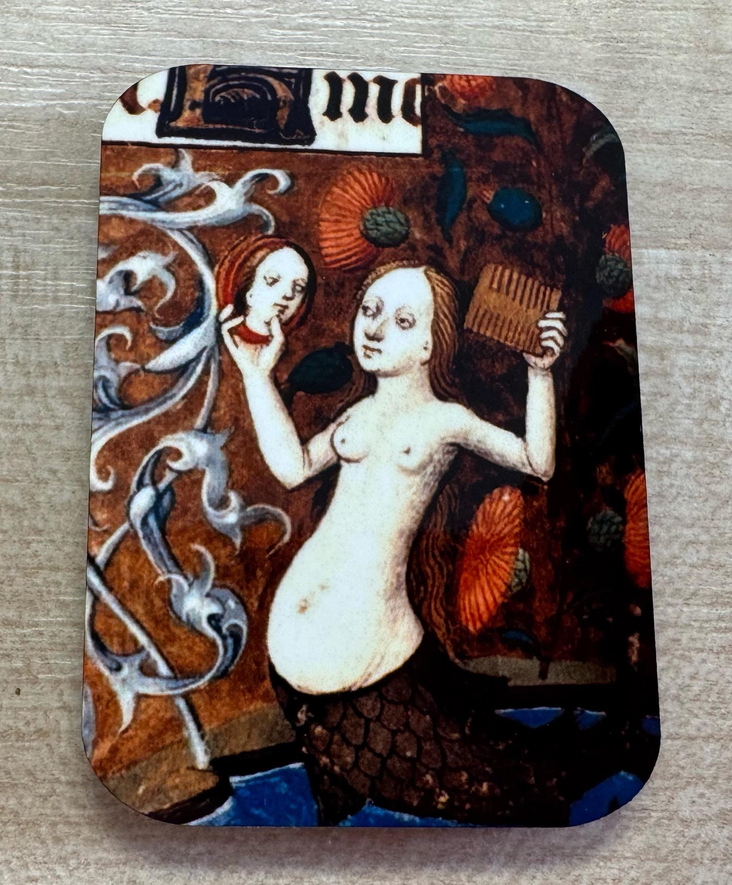 Medieval Mermaid Fridge Magnets