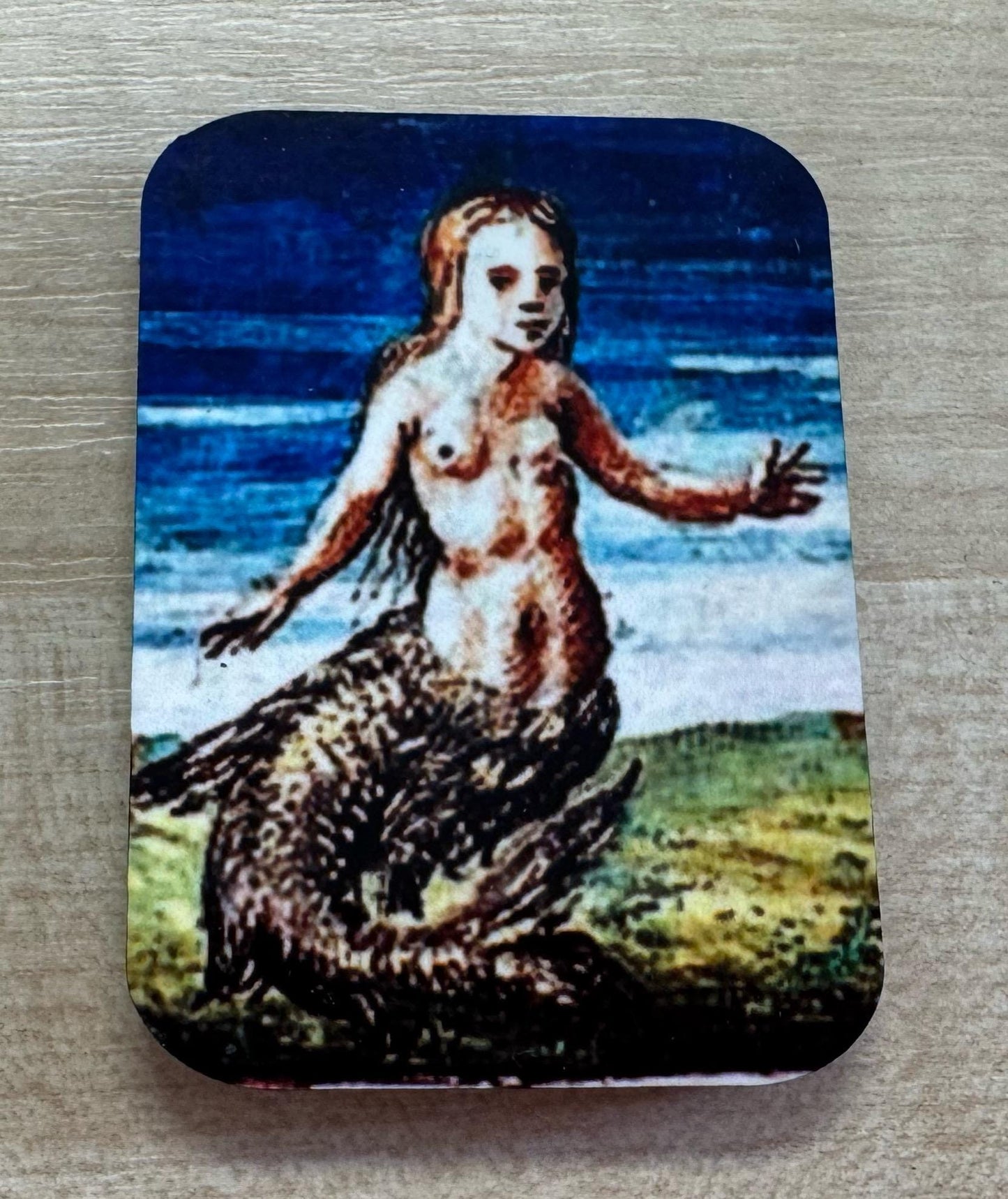 Medieval Mermaid Fridge Magnets